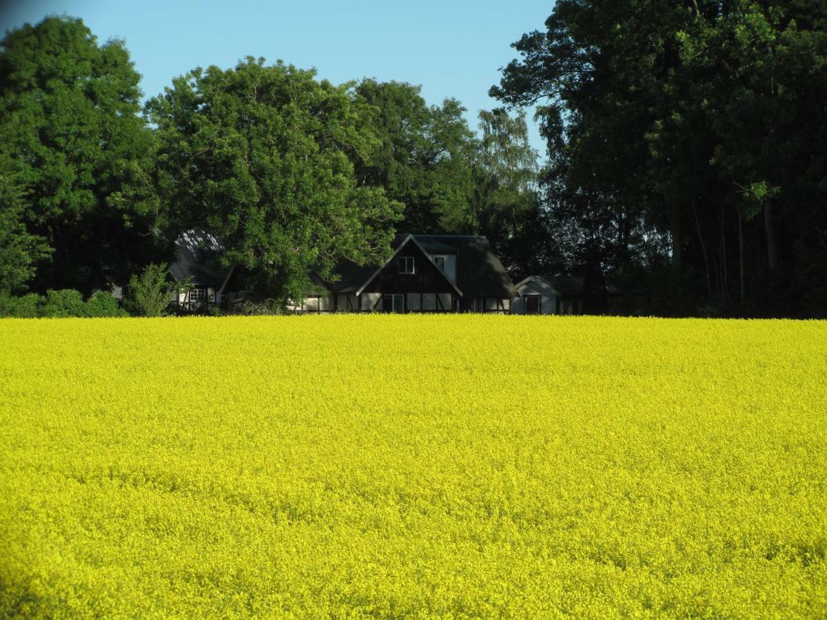 Vila Smedsgarden Höganäs Exteriér fotografie