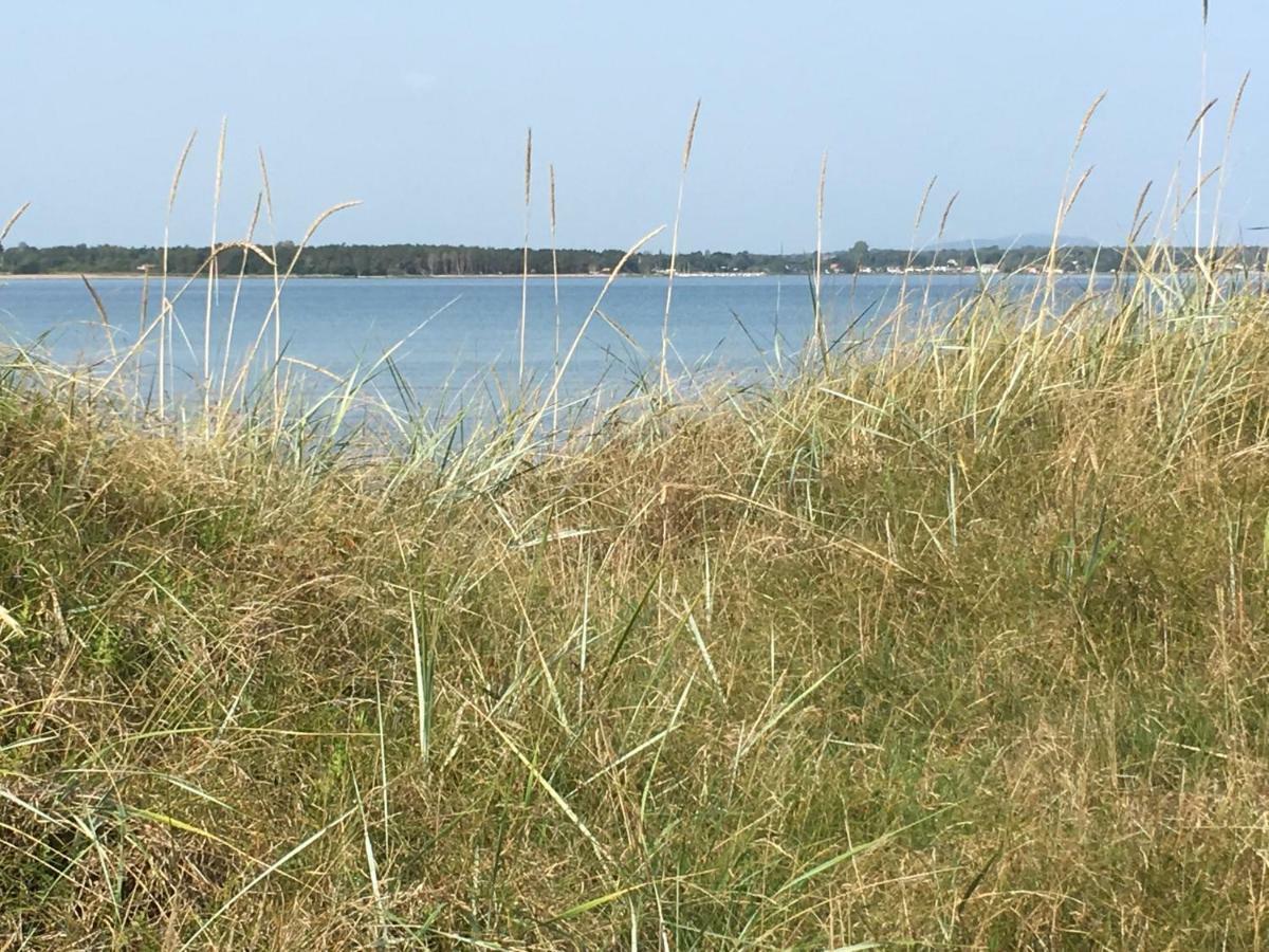 Vila Smedsgarden Höganäs Exteriér fotografie